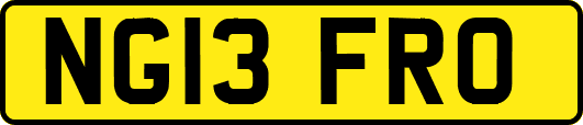 NG13FRO