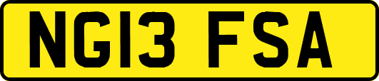 NG13FSA