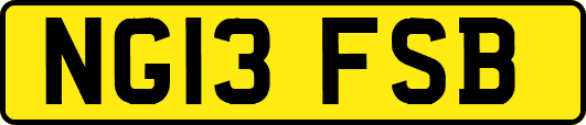 NG13FSB