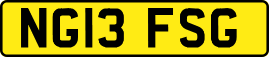 NG13FSG