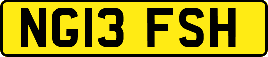 NG13FSH