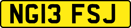 NG13FSJ