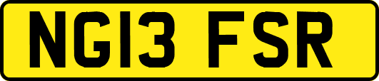 NG13FSR