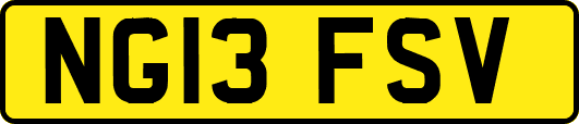 NG13FSV