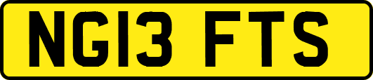 NG13FTS
