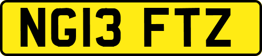 NG13FTZ
