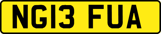 NG13FUA