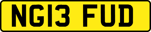 NG13FUD