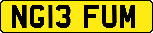 NG13FUM