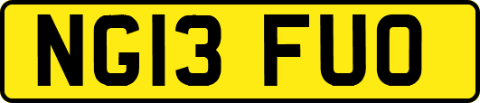 NG13FUO