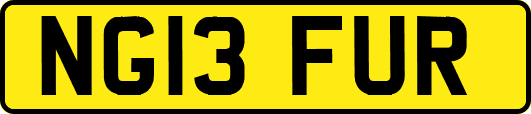 NG13FUR