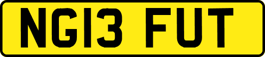 NG13FUT