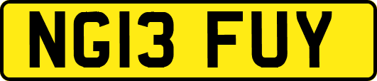 NG13FUY