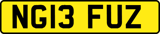 NG13FUZ