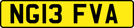 NG13FVA