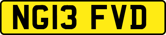 NG13FVD