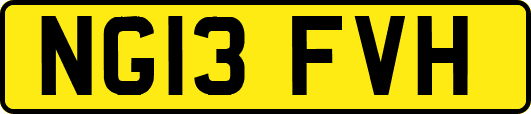 NG13FVH