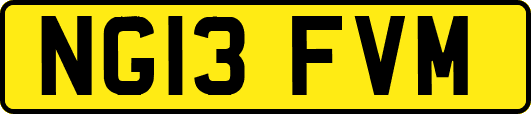NG13FVM