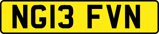 NG13FVN