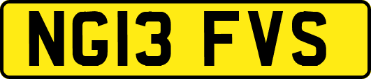 NG13FVS