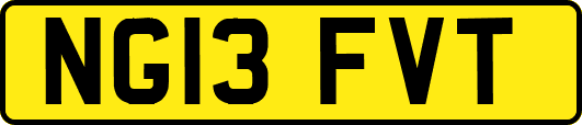 NG13FVT