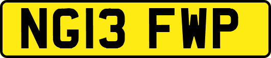 NG13FWP