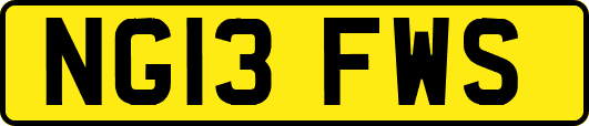 NG13FWS