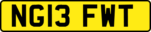 NG13FWT