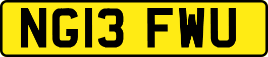 NG13FWU