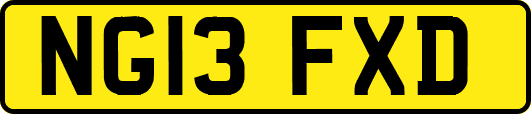 NG13FXD