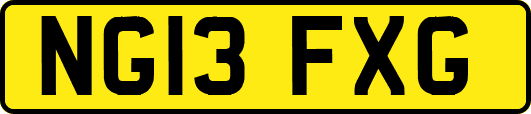 NG13FXG