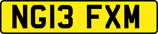 NG13FXM