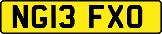 NG13FXO