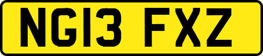 NG13FXZ