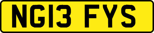 NG13FYS
