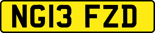 NG13FZD