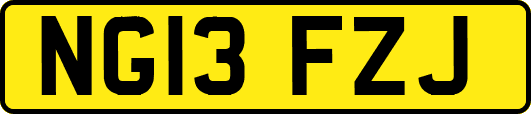 NG13FZJ