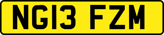 NG13FZM