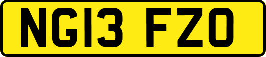 NG13FZO