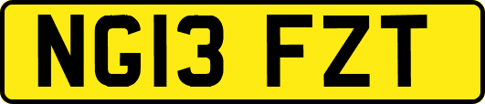 NG13FZT
