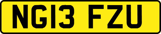 NG13FZU