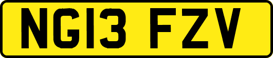 NG13FZV