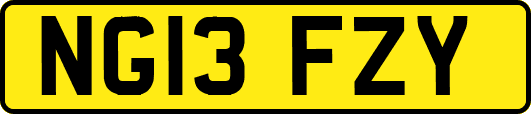 NG13FZY