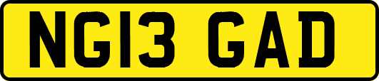 NG13GAD