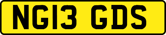 NG13GDS