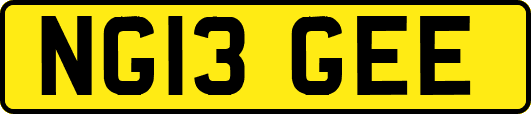 NG13GEE