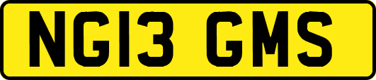 NG13GMS