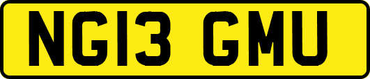 NG13GMU