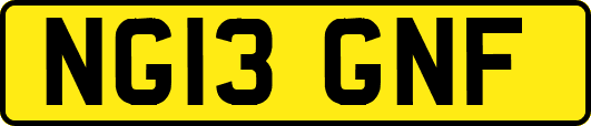NG13GNF