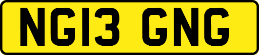 NG13GNG